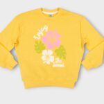 SWEAT COL ROND MOLLETON 100 % COTON – Image 20